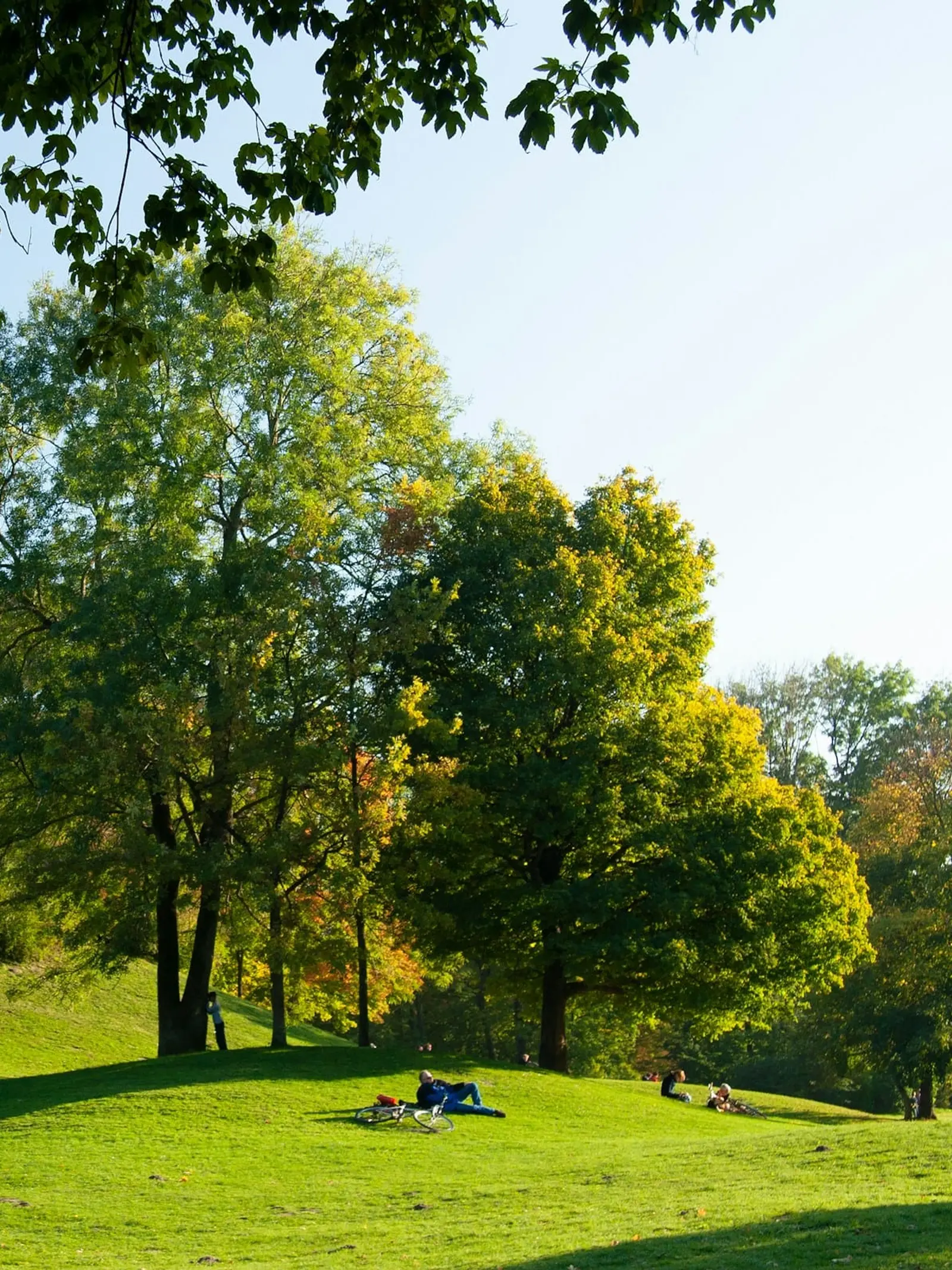 Pilot Success Lead at Firstier — Munich